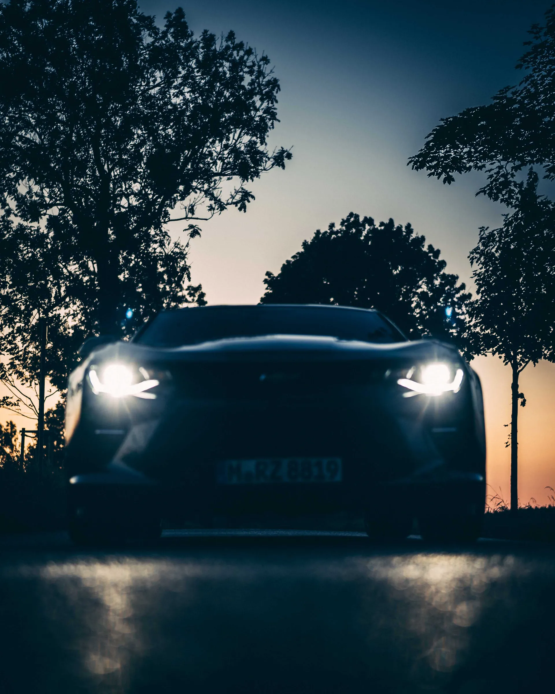 Camaro photograph 01