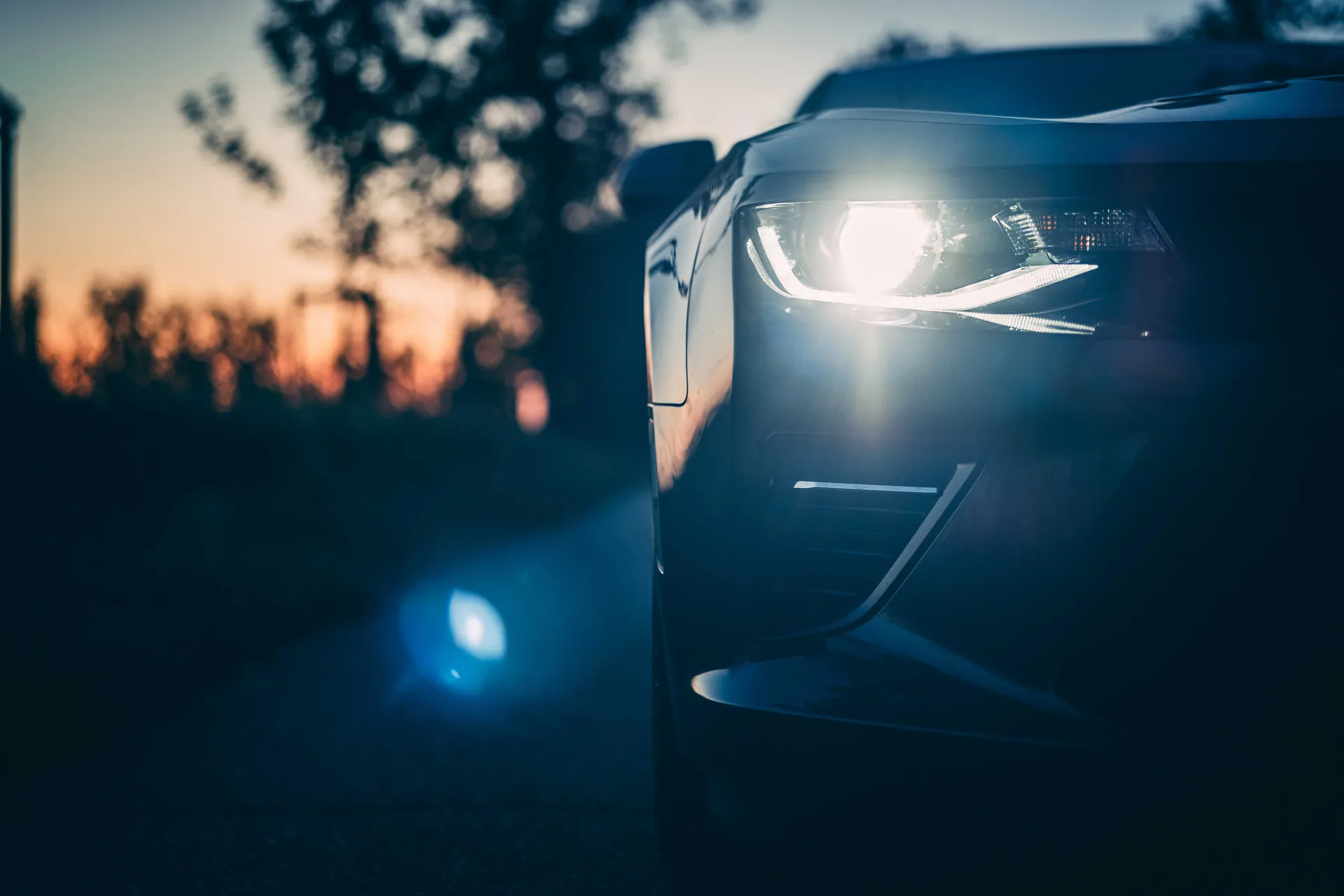 Camaro photograph 02