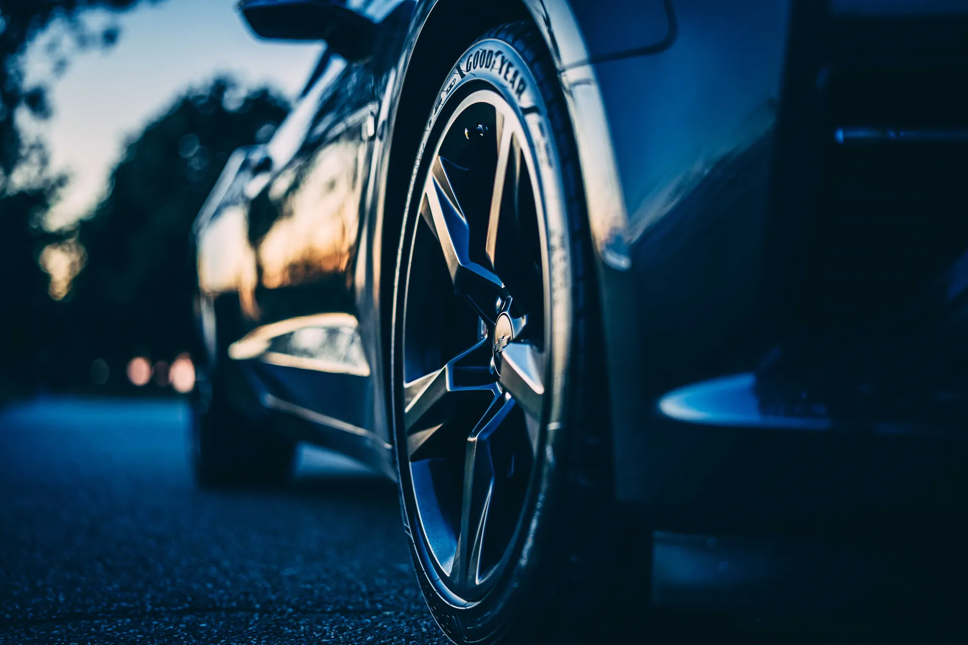 Camaro photograph 03