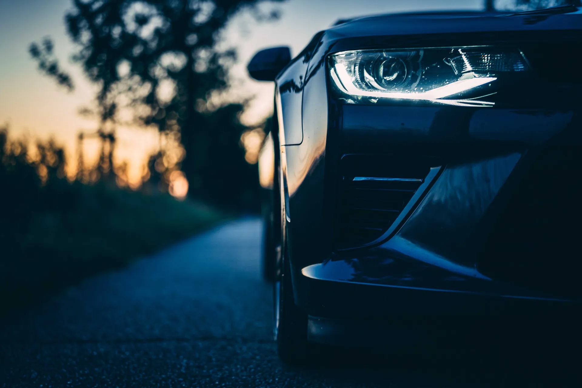 Camaro photograph 04