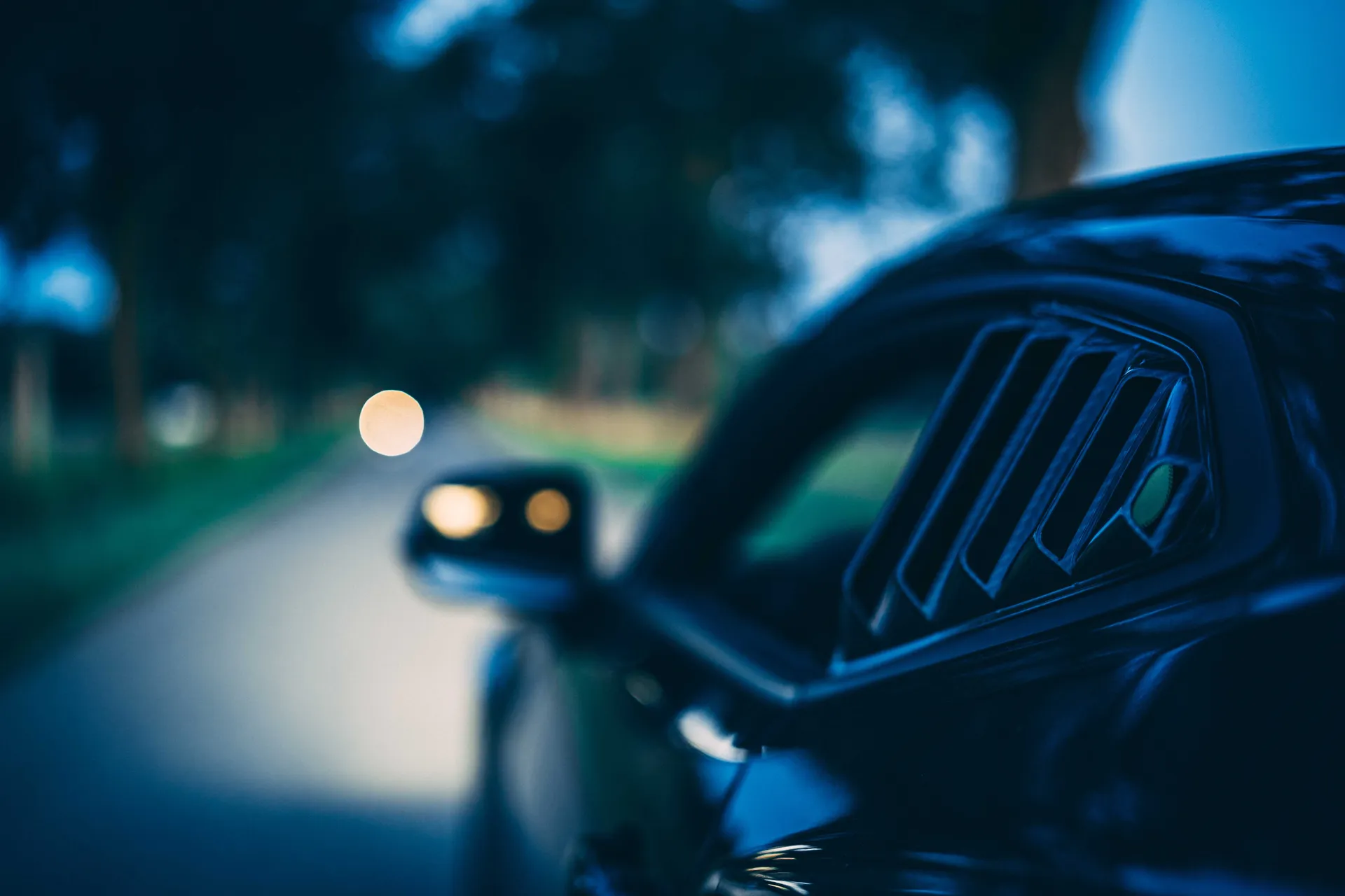 Camaro photograph 05