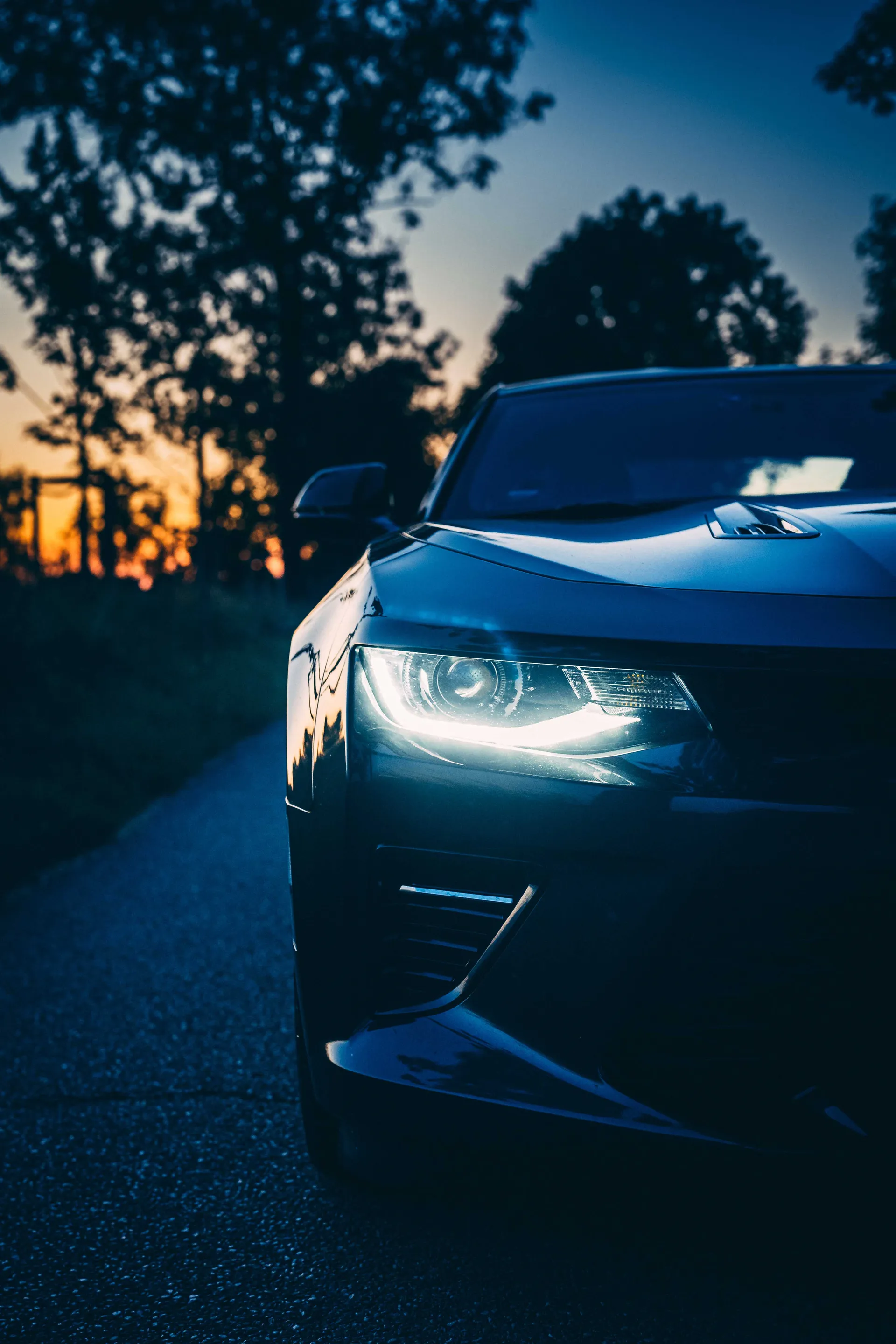 Camaro photograph 07
