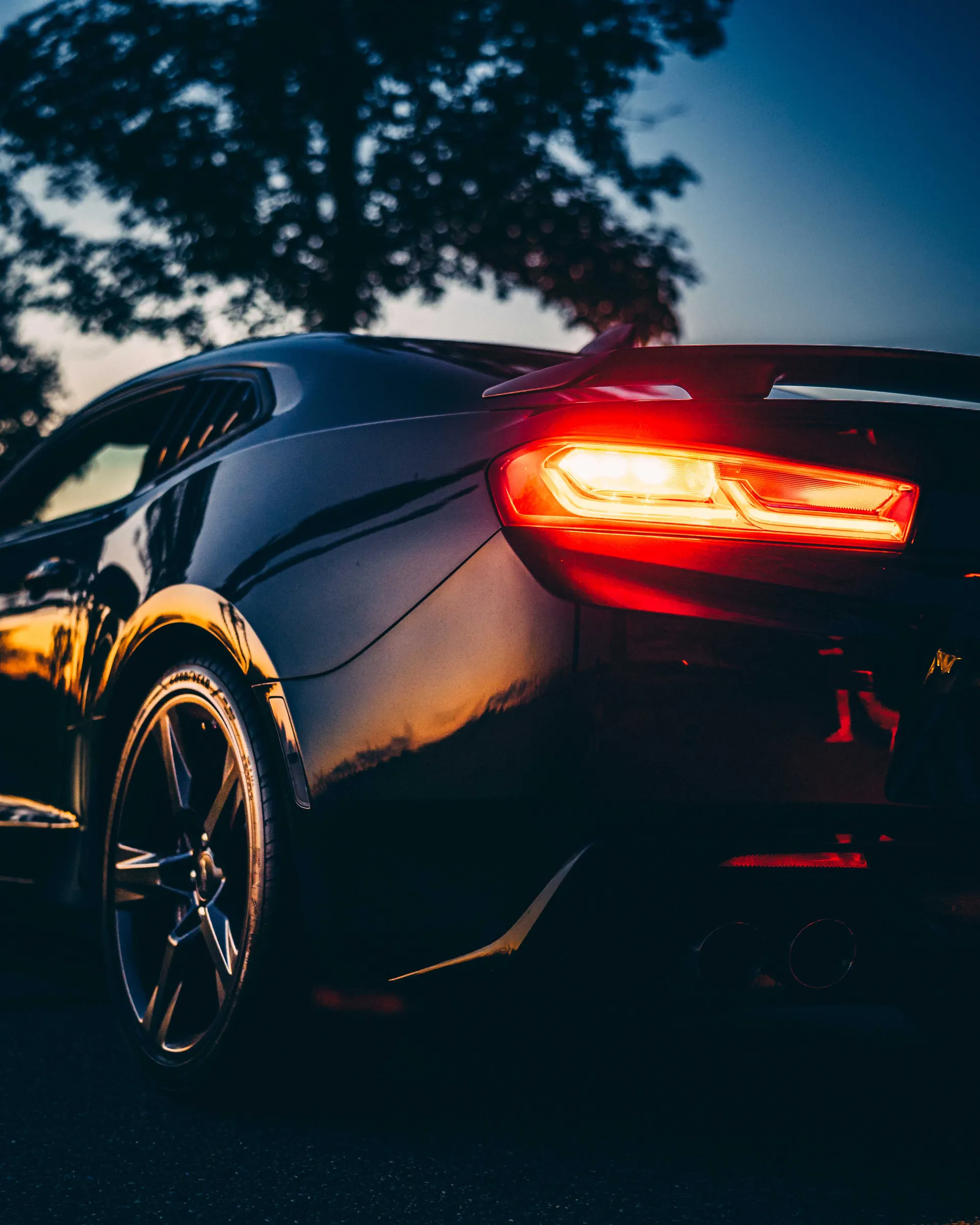 Camaro photograph 08