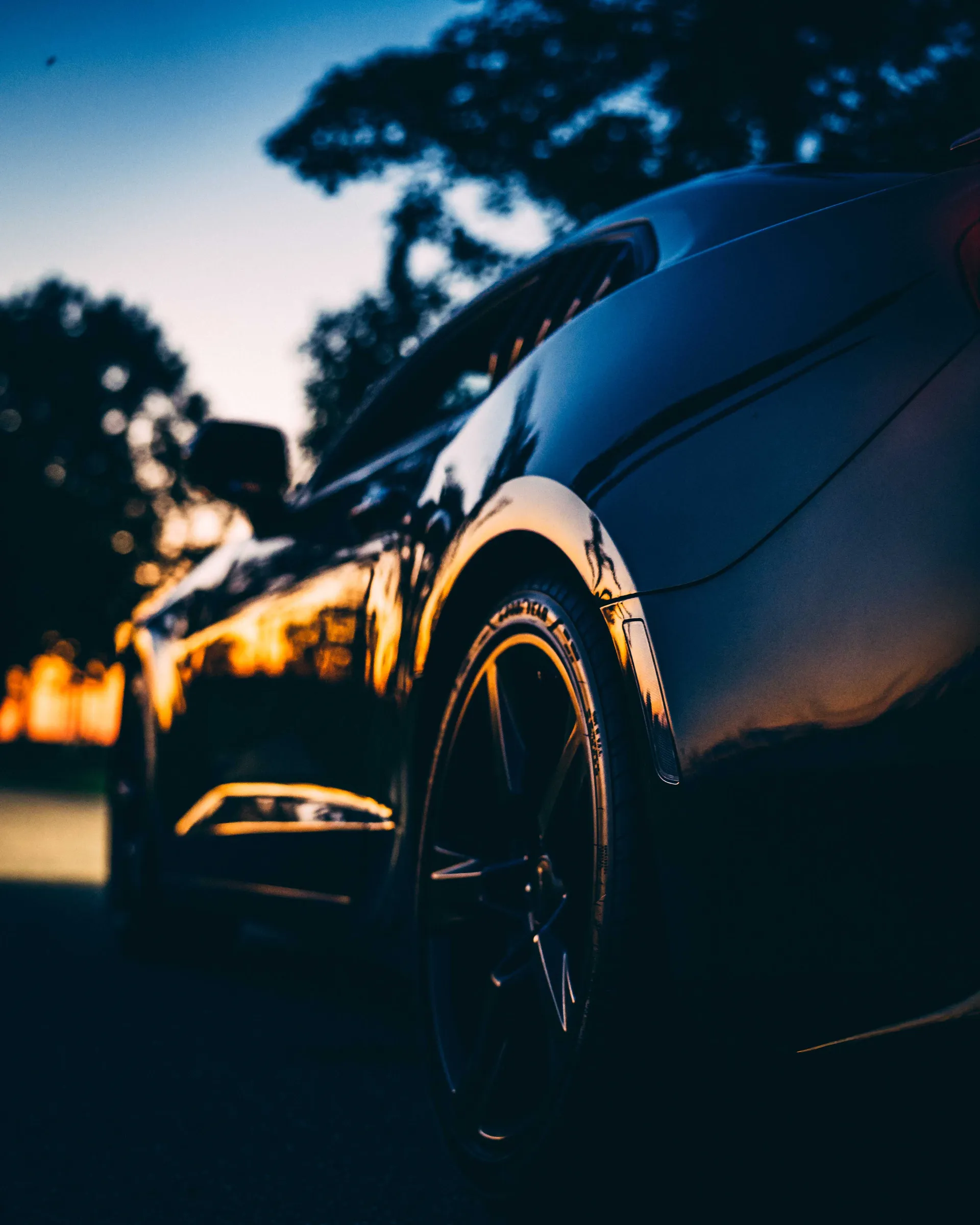 Camaro photograph 10