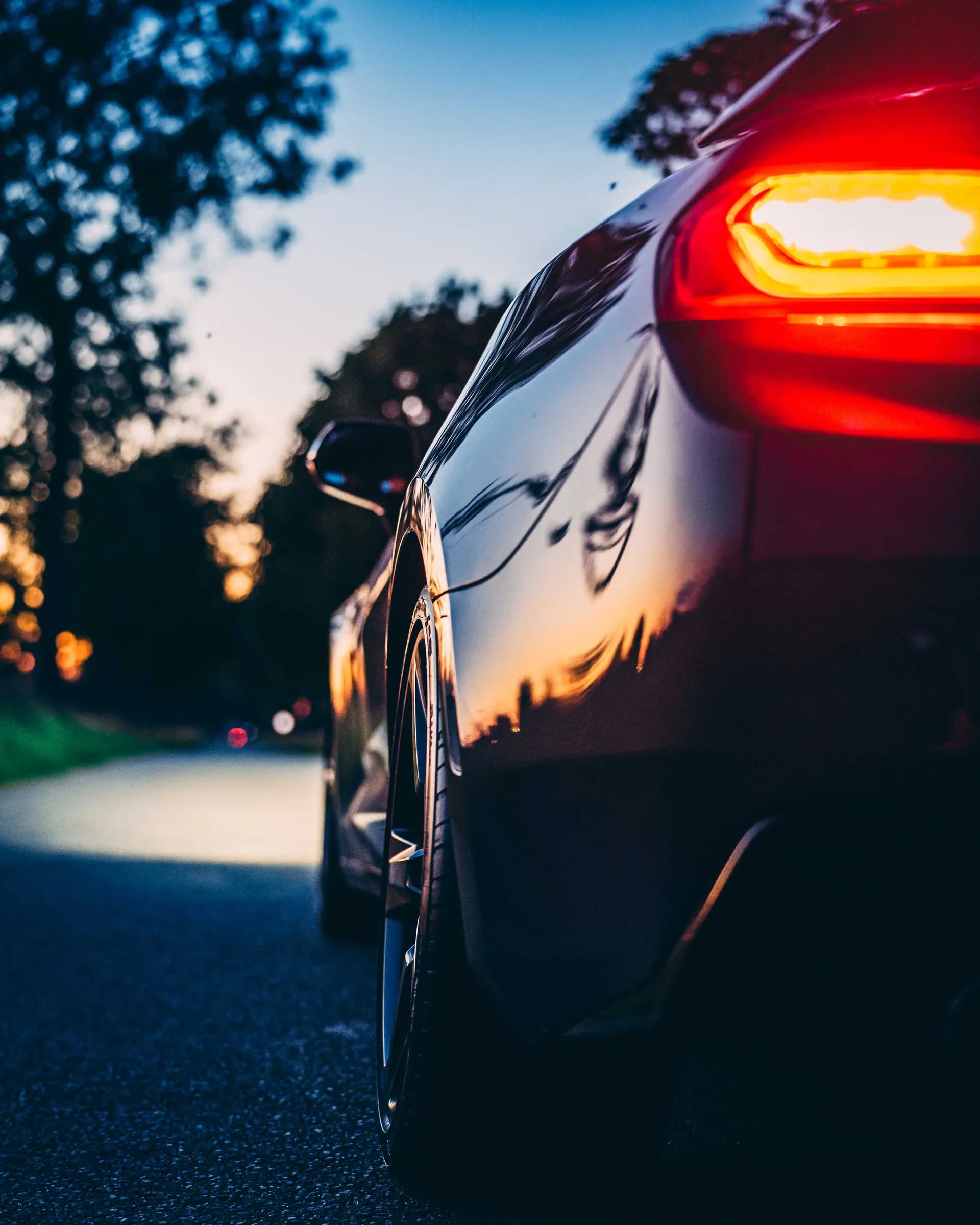 Camaro photograph 11