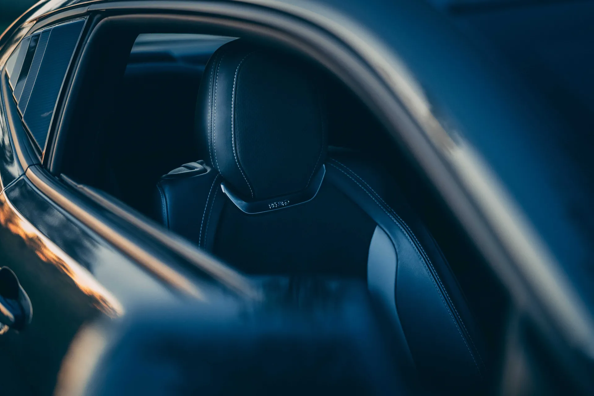 Camaro photograph 12