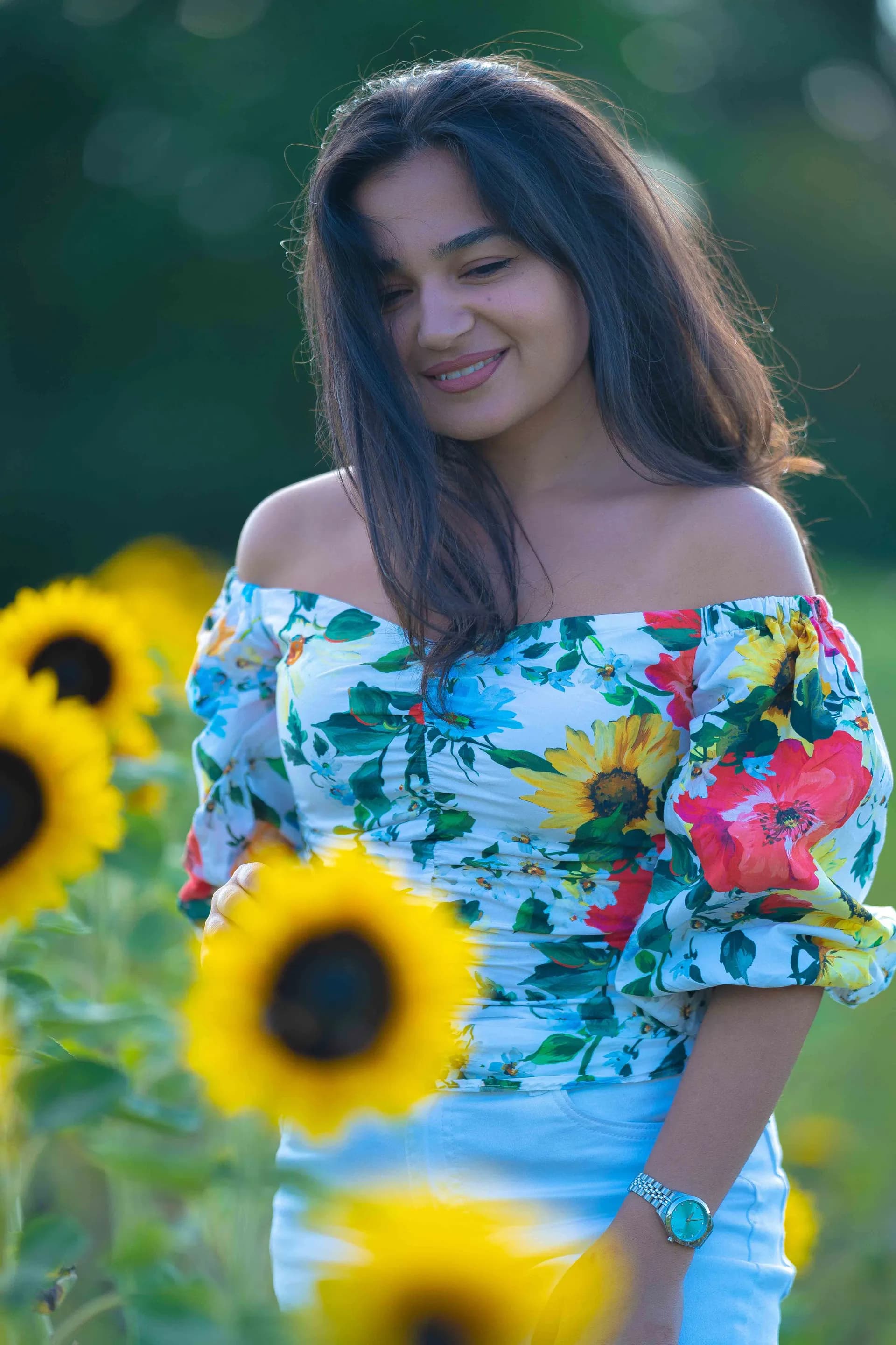 Sunflower Dream photograph 02