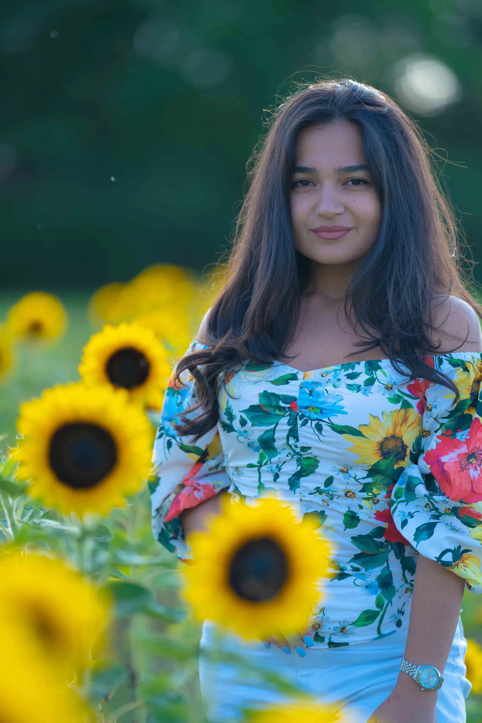 Sunflower Dream photograph 03