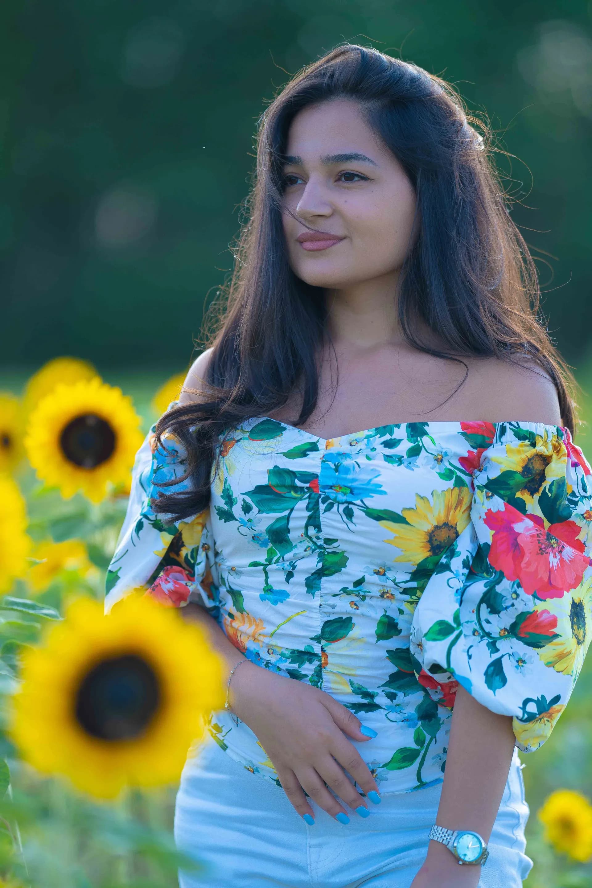 Sunflower Dream photograph 04