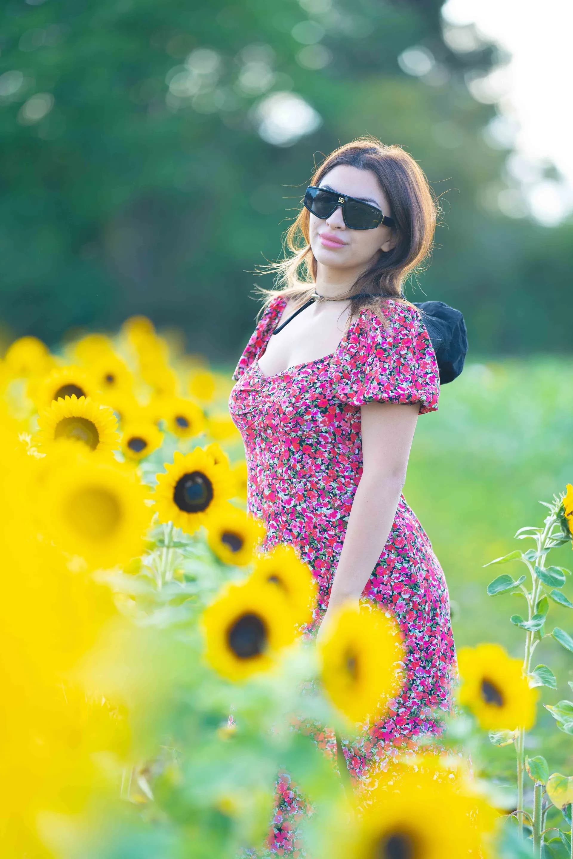 Sunflower Dream photograph 08