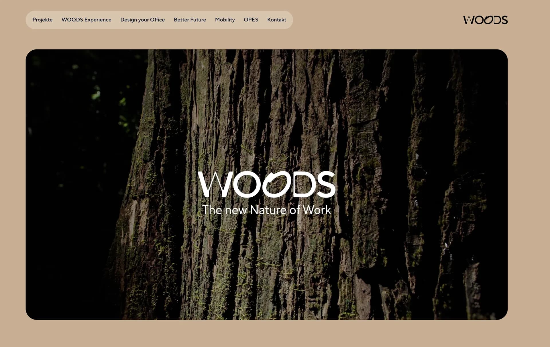 woods.world website screenshot